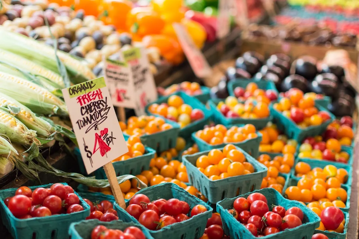 How to Switch Your E-Label Provider Without Reprinting QR Codes